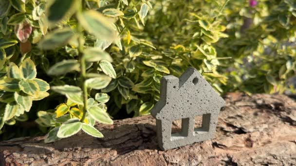 Miniaturní Betonový Domeček Dřevo Zeleným Rostlinným Pozadím Ekologická Udržitelná Koncepce — Stock video