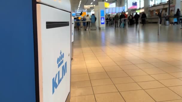 Klm Royal Dutch Airlines Self Service Check Kiosk International Amsterdam — Wideo stockowe