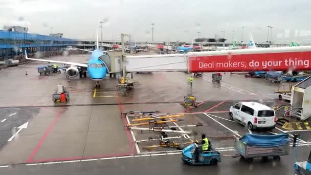 Klm Royal Dutch Airlines Avião Preparando Para Embarque Aeroporto Amsterdam — Vídeo de Stock