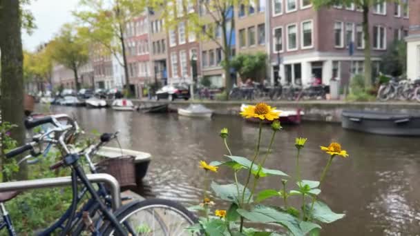 Defocused Amsterdam Canal Traditional Old Narrow Houses Boats Parked Bicycles — Stock Video