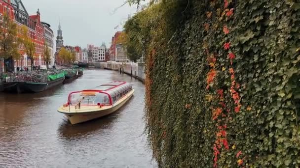 Singel Canal Bicycle Parking Famous Floating Flower Market People Sail — Stock Video