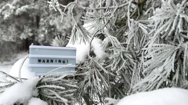 Warning Message Lightbox Frosty Pine Branches Attention Dangers Winter Conditions — Stock Video