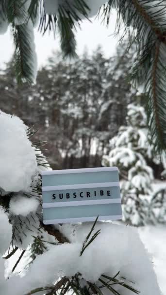 在雪地覆盖的松枝上的信箱上记录留言 雪落在美丽的冬季森林背景中 垂直慢动作视频 — 图库视频影像