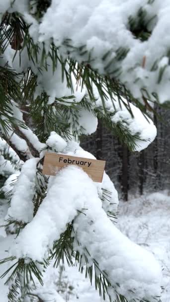 寒い冬の森で雪に覆われたパインツリー上の2月の木製サインの垂直映像 スノーフォール天気の背景 月の発表 スローモーションで落ちる雪片 — ストック動画