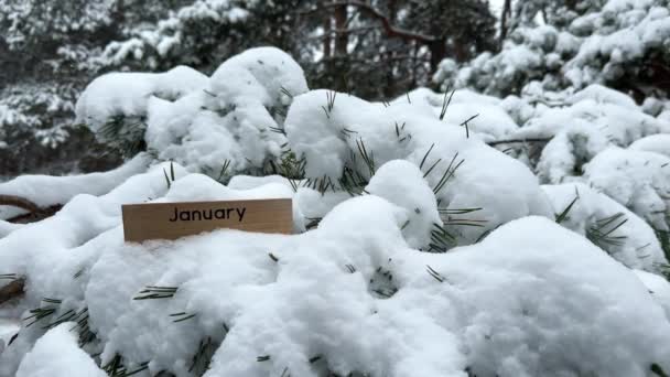 Січневий Дерев Яний Знак Снігу Покрив Соснове Дерево Холодному Красивому — стокове відео