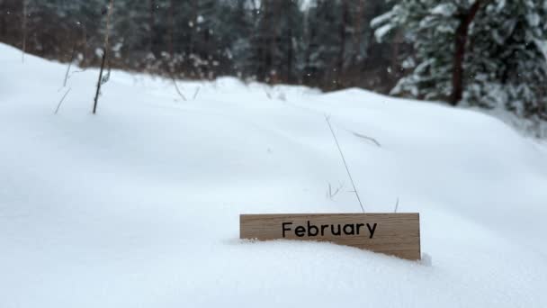 寒い冬の森で雪の中にある2月の木製サイン テキストのためのスペースを持つ雪の天気の背景 月の発表 ゆっくりとした動きで落ちる雪片 — ストック動画