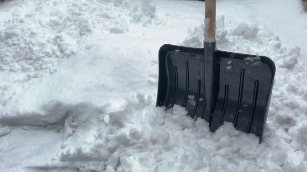 Black Snow Shovel Snowfall Close Manual Snow Removal Clearing Winter — Stock Video