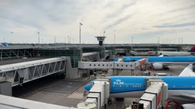 Amsterdam Schiphol Havaalanı 'nda KLM Royal Dutch Airlines uçakları. Amsterdam, Hollanda - 19 Haziran 2024