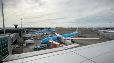 Amsterdam Schiphol Havaalanı 'nda KLM Royal Dutch Airlines uçakları. Amsterdam, Hollanda - 19 Haziran 2024