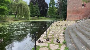 Hollanda Kruittoren 'in yanındaki gölde ördekler ya da Hollanda, Nijmegen' de yaz mevsiminde Kronenburgerpark 'ta silah barutu kulesi.