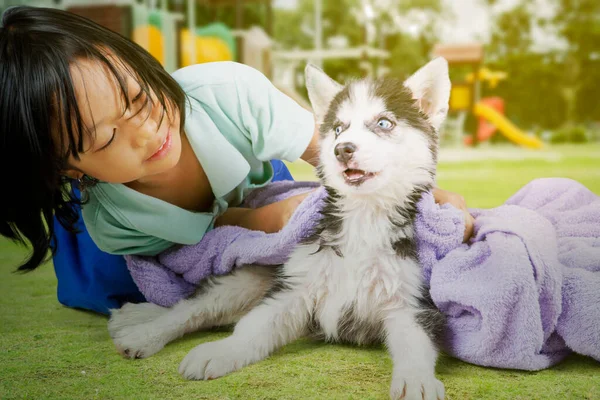 Menina Bonito Limpando Seu Cão Molhado Com Toalha Enquanto Brincando — Fotografia de Stock