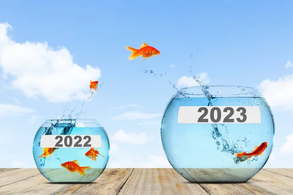 Image of golden fish jumping from small aquarium with 2022 numbers to big aquarium with 2023 numbers in blue sky background