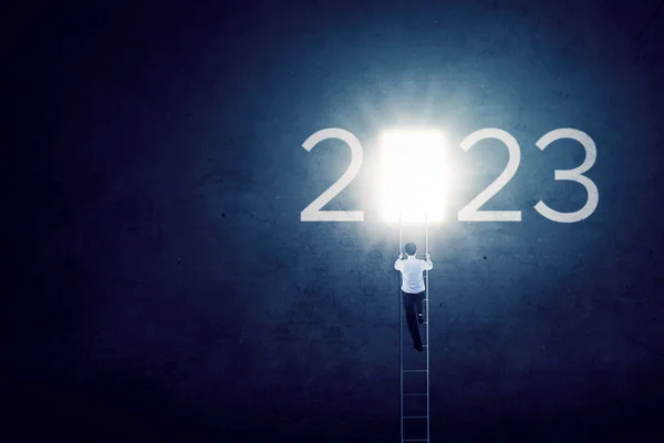 Rear View Businessman Climbing Ladder Bright Door 2023 Number — Stock Photo, Image