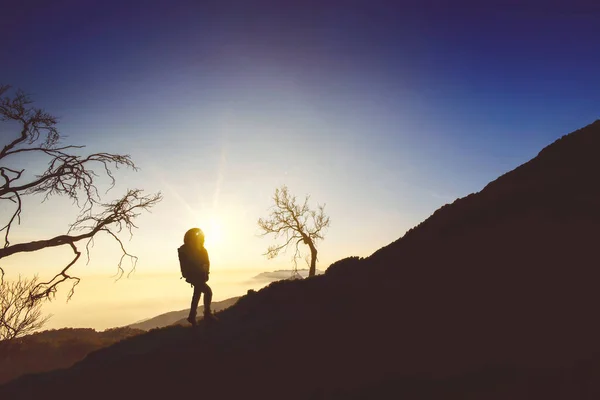 Erkek Yürüyüşçünün Silueti Sisli Bir Sabahta Güneşin Doğuşunun Tadını Çıkarırken — Stok fotoğraf