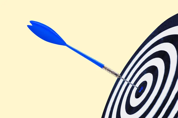 Bullseye. Successful marketing business as planned