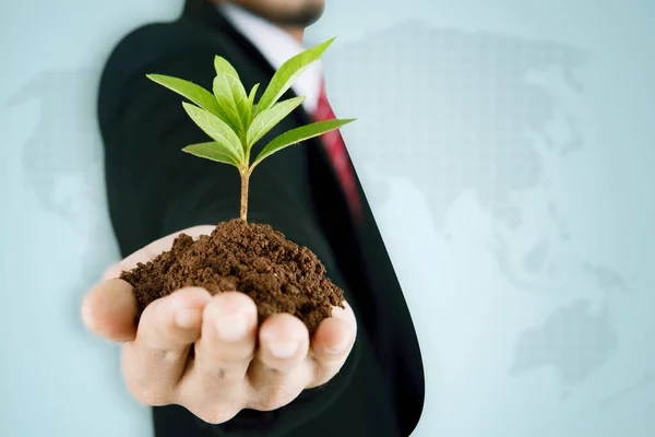 Rozwój Firmy Zbliżenie Biznesmen Dłoni Trzyma Zielonych Roślin — Zdjęcie stockowe