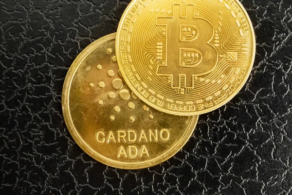 Bitocins ve Cardano bozukluklarını yakın plan çek. Şifreli para, bitcoin. BTC, Bit Coin. Engelleme teknolojisi, bitcoin madenciliği