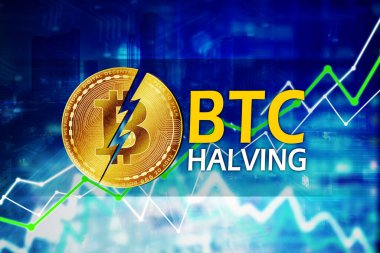 Bitcoin fiyat grafiği bitcoin yarılanma olayından sonra yükselişi gösteriyor