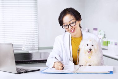 Klinikte çalışan, dizüstü bilgisayar kullanan ve elinde köpek tutan genç bir kadın veteriner.