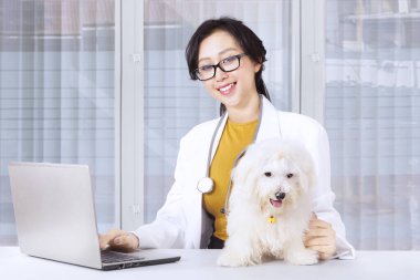 Klinikte çalışan, dizüstü bilgisayar kullanan ve elinde köpek tutan genç bir kadın veteriner.