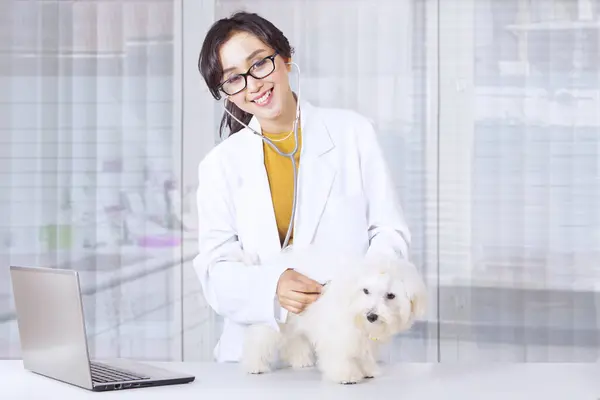 年轻女兽医在诊所工作时使用笔记本电脑和抱着狗的照片 图库图片