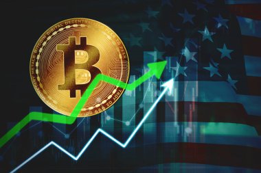 ABD 'deki Bitcoin Piyasa Büyümesi ve Kripto Para Yatırımı.