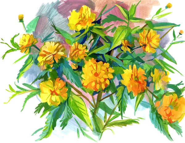 Kerria Boyalı Yapımı Çiçekler Suluboya Ile Serbest Çizim Beyaz Arkaplanda — Stok fotoğraf
