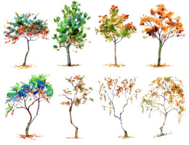 Sonbahar ağaçları. Hazır ol. Suluboya ile çizim. Beyaz arkaplanda izole