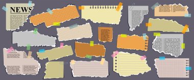 Set of torn paper, notebook sheets and old newspapers attached with scotch tape. Isolated background. Vector illustration. Front view. Trendy elements for scrapbook clipart