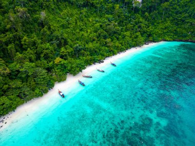 Tayland 'ın Ko Phi adasındaki ünlü Maymun Sahili' nin insansız hava aracı görüntüsü. Beyaz kumu, turkuaz suyu ve yeşil ormanı olan tropik bir sahil. Uzun kuyruklu tekneler sahilde bekliyor. Egzotik turizm merkezi, cennet.