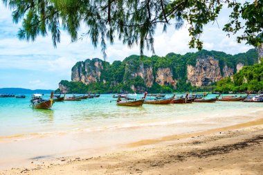 Tayland, Krabi 'deki Railay plajında uzun kuyruklu tekneler. Tropik cennet, turkuaz su ve beyaz kum..