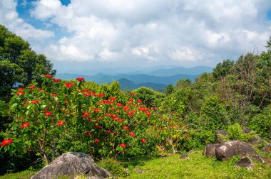 Mae Kampong köyü ve Chiang Mai şehri yakınlarındaki Kew Fin 'in panoramatik manzarası. Güneşli bir günde dağların ve tepelerin manzarası.