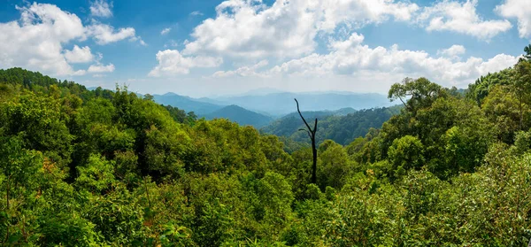 Mae Kampong köyü ve Chiang Mai şehri yakınlarındaki Kew Fin 'in panoramatik manzarası. Güneşli bir günde dağların ve tepelerin manzarası.