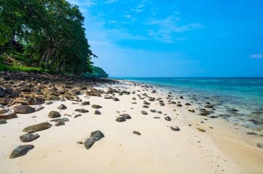 Tayland 'daki Ko Phi Phi adalarındaki güzel tropik plaj manzarası. Yeşil ormanı, palmiyeleri ve turkuaz suyu olan beyaz kum. Yaz havası, cennette tatil kavramı..