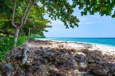 Tayland 'daki Ko Phi Phi adalarındaki güzel tropik plaj manzarası. Yeşil ormanı, palmiyeleri ve turkuaz suyu olan beyaz kum. Yaz havası, cennette tatil kavramı..