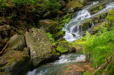 Krkonose dağları - şelale manzaralı yosun yeşili arka plan - kayalardan dökülen beyaz vahşi su romantik örtüler oluşturuyor. KRNAP (Krkonossky Ulusal Parkı), Çek Cumhuriyeti