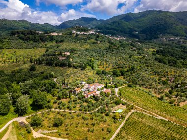 İtalya, Toskana 'daki üzüm bağlarının ve tepelerin insansız hava aracı görüntüsü. Lucca yakınlarında bir dağ sırası..