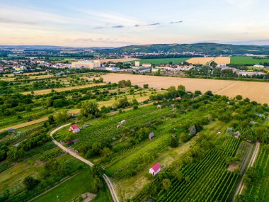 A stunning drone view of Hrusovany u Brna, showcasing the charming town, surrounding vineyards, and a distant, scenic view of the Palava Hills. clipart