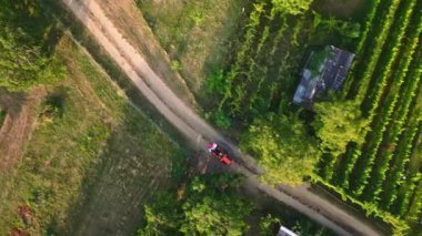 Hava aracı görüntüleri, üzüm bağlarının arasında traktör kullanan bir çiftçi olduğunu gösteriyor. Sahne huzurlu kırları, yeşil sarmaşıkları yakalıyor.