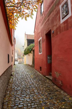 Dar sokakların ve Cesky Krumlov 'daki eski Barok binalarının büyüleyici manzarası, kasabaların tarihsel karakterini, mimari güzelliğini ve zamansız atmosferini gözler önüne seriyor.