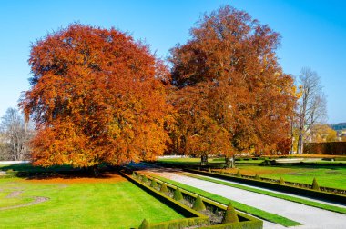 Parkta devasa meşe ağaçları, yaprakları sonbaharda parlak turuncu renkte parlıyor. Etrafı yemyeşil çimlerle çevrili olan manzara, güneşli bir günde sonbaharın güzelliğini yakalar.