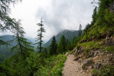 Dolomitler 'deki dağ patikaları (Dolomiti, Dolomiten), İtalya, Lago Sorapis' e çıkar. Yol kayalık yamaçlar boyunca esiyor, vadilerin, ormanların ve tepelerin çarpıcı manzarasıyla.