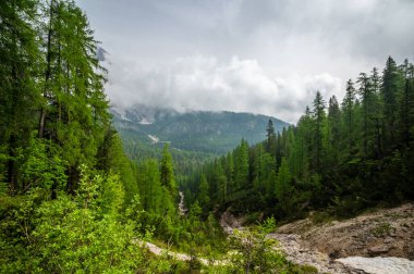 Dolomitler 'deki dağ patikaları (Dolomiti, Dolomiten), İtalya, Lago Sorapis' e çıkar. Yol kayalık yamaçlar boyunca esiyor, vadilerin, ormanların ve tepelerin çarpıcı manzarasıyla.