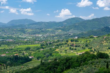 Kuzey Toskana, İtalya 'nın manzarası, üzüm bağları, zeytinlikler ve arka planda tepeler ve yeşil dağlar olan geleneksel kır evleri yer alıyor..