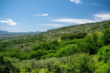 Kuzey Toskana, İtalya 'nın manzarası, üzüm bağları, zeytinlikler ve arka planda tepeler ve yeşil dağlar olan geleneksel kır evleri yer alıyor..