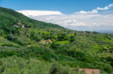 Kuzey Toskana, İtalya 'nın manzarası, üzüm bağları, zeytinlikler ve arka planda tepeler ve yeşil dağlar olan geleneksel kır evleri yer alıyor..