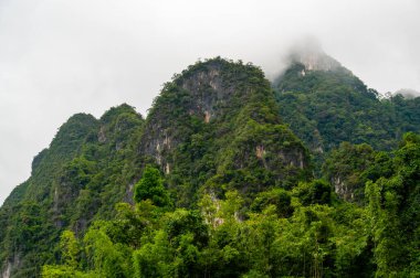 Tayland 'ın Krabi ilindeki Khao Sok Gölü manzarası. Yüksek kireçtaşı uçurumları, gölün sakin yüzeyinden yükselen tropikal yağmur ormanlarıyla kaplı..