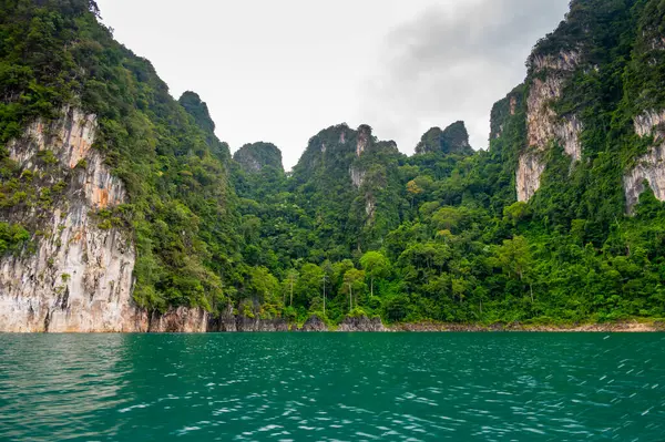 Tayland 'ın Krabi ilindeki Khao Sok Gölü manzarası. Yüksek kireçtaşı uçurumları, gölün sakin yüzeyinden yükselen tropikal yağmur ormanlarıyla kaplı..