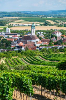 Avusturya, Retz 'in panoramik manzarası, ön planda üzüm bağları ve sıcak bir yaz gününde açık mavi bir gökyüzünün altında yer alan kasabanın manzarası..