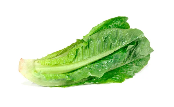 Friss Zöld Salátalevél Fehér Alapon Izolált Salátalevél — Stock Fotó